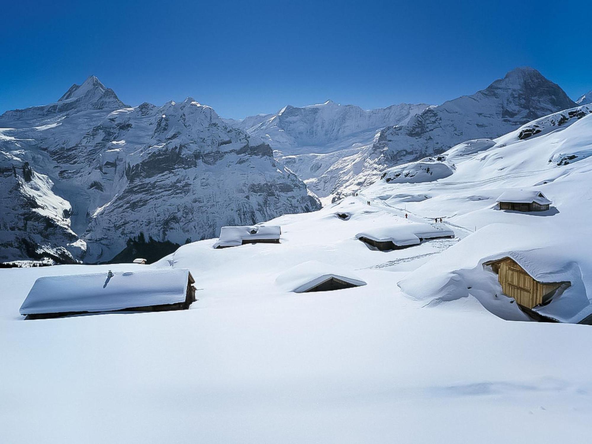 Apartment Chalet Almis-Bödeli-2 Grindelwald Buitenkant foto