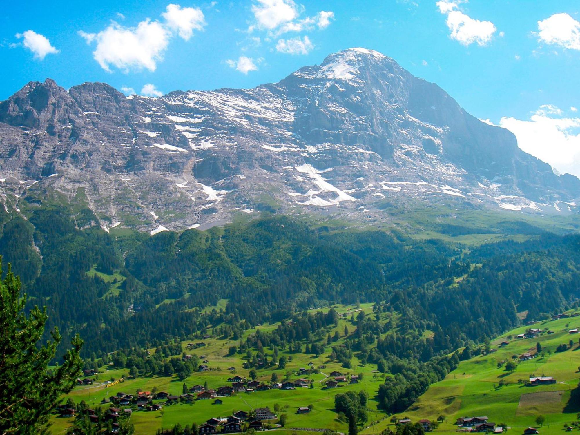 Apartment Chalet Almis-Bödeli-2 Grindelwald Buitenkant foto