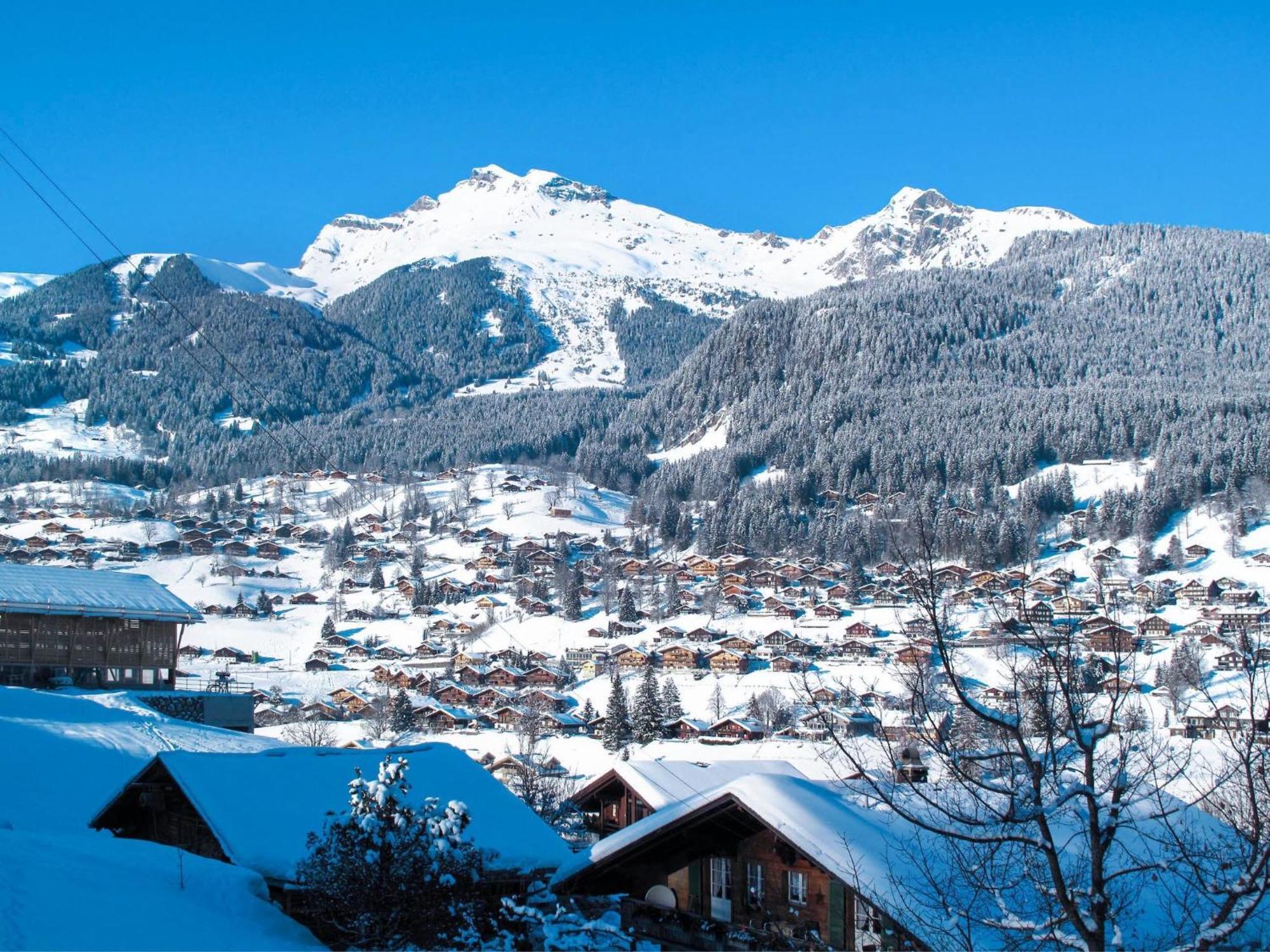 Apartment Chalet Almis-Bödeli-2 Grindelwald Buitenkant foto